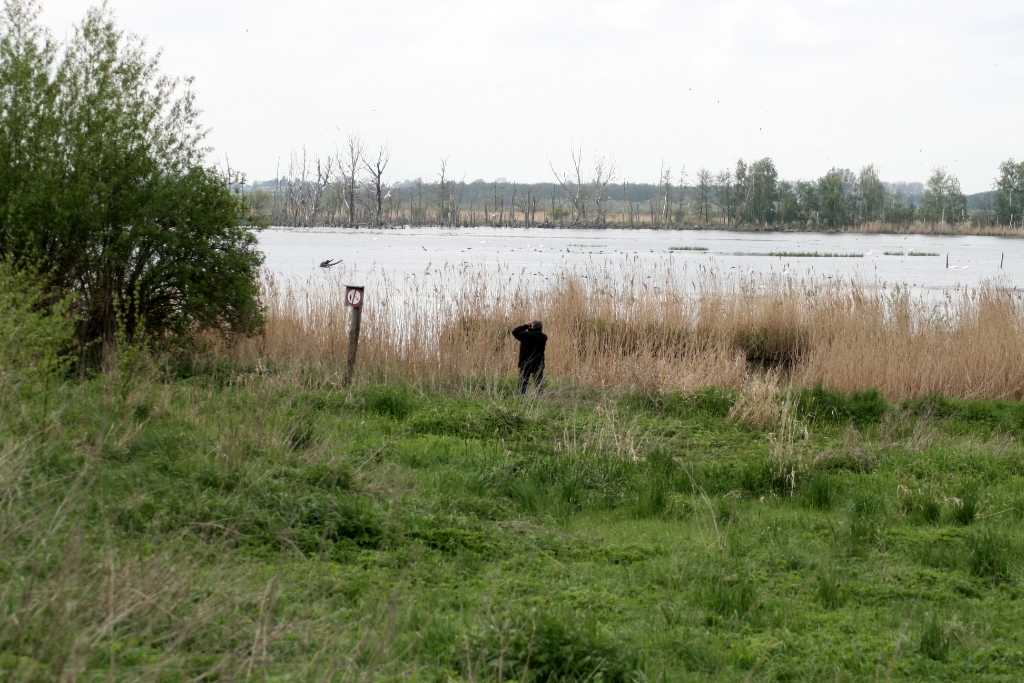 VWG vogelreis Oost Duitsland mei 2010 351